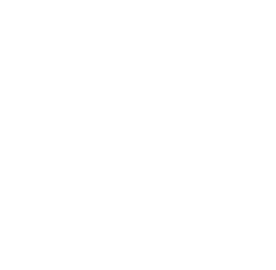 LOGO WHITE DUMMY 1
